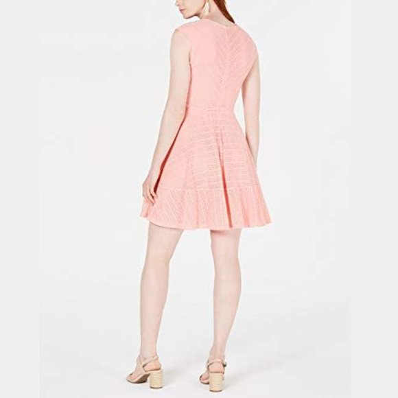 NWT Bar lll Mesh Blush Fit and Flare Dress - Picture 2 of 7